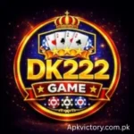 DK222 Game