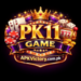 PK11 Game