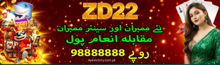ZD22 Game