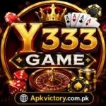 Y333 Game