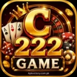 C222 Game