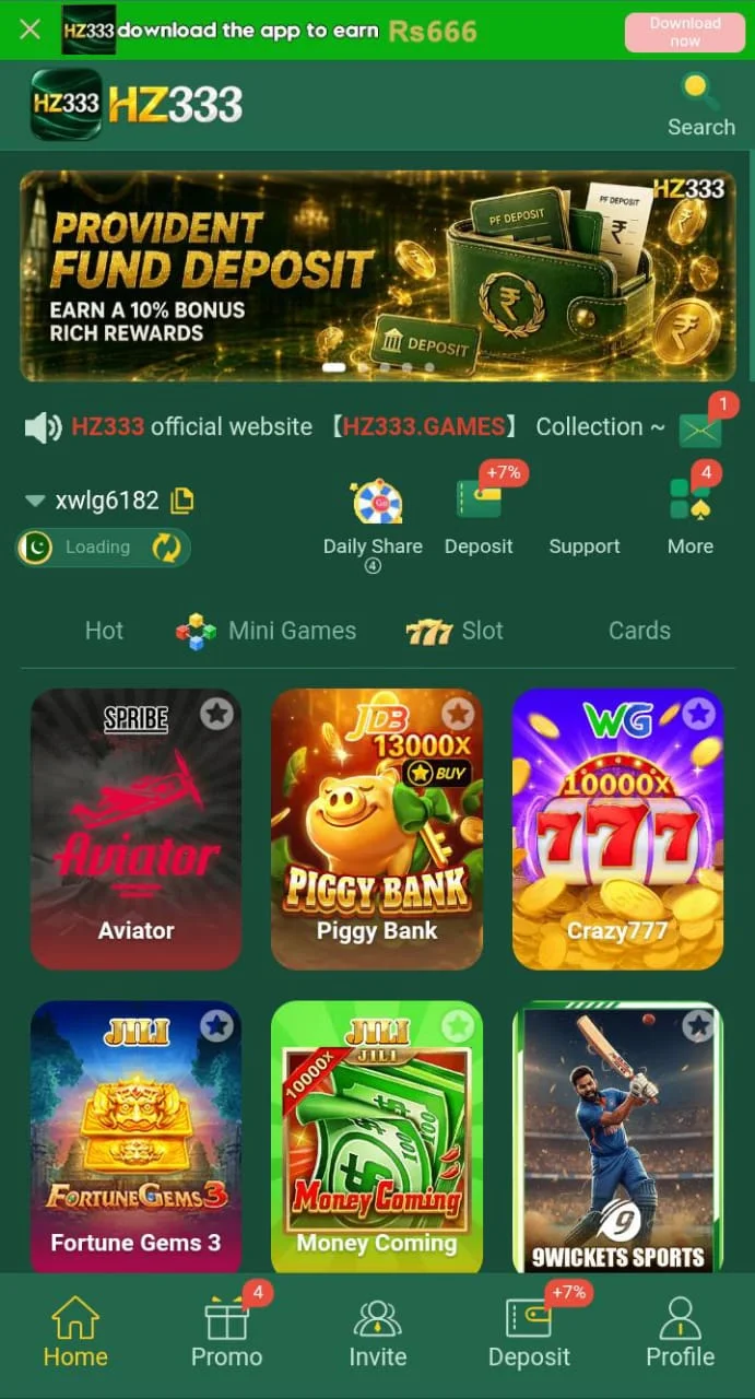 HZ333 Game